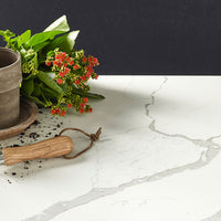 MSI Calacatta Laza Quartz — surface detail in natural tonality