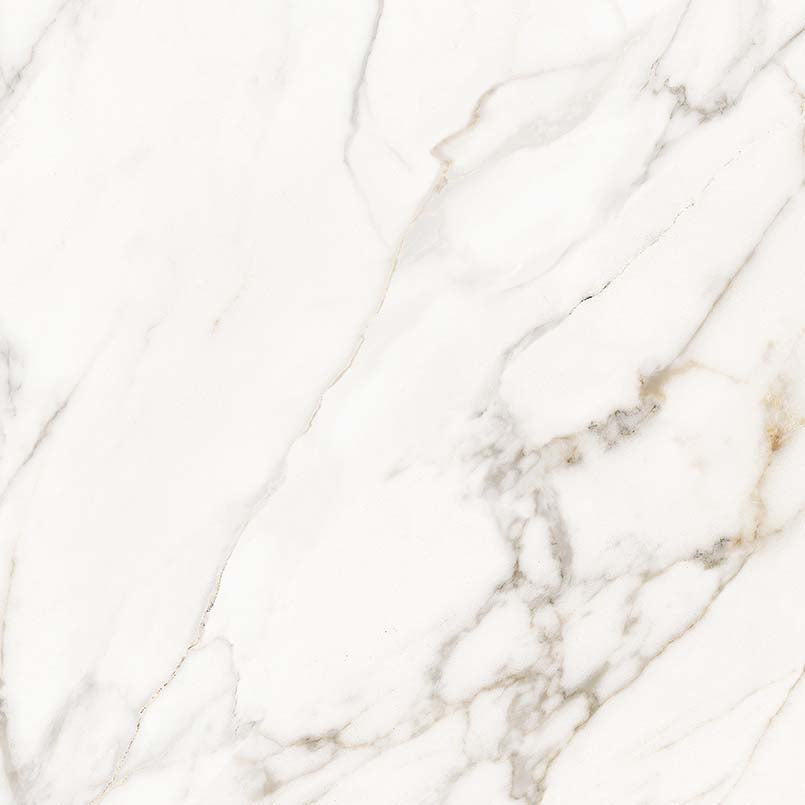 MSI Calacatta Lucca - Glazed Porcelain Slab