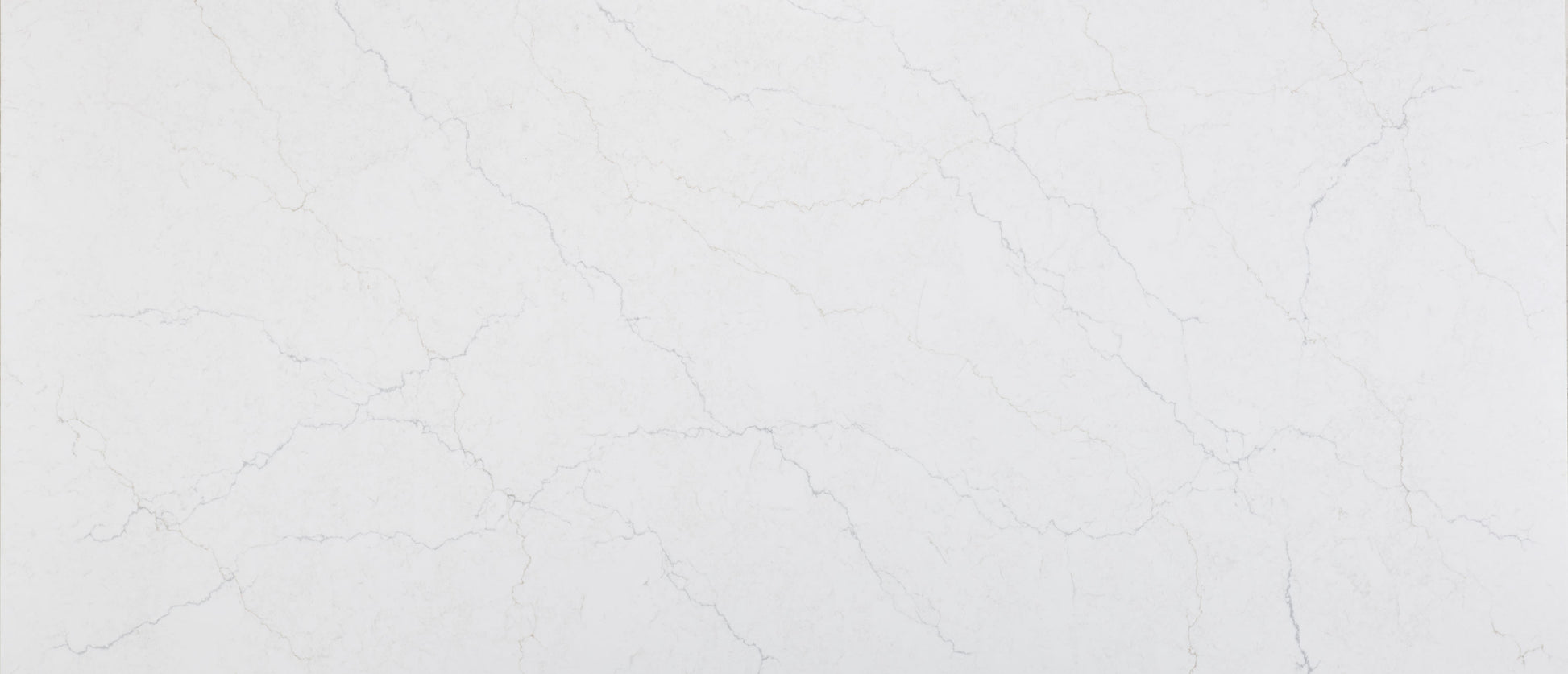 MSI Calacatta Miraggio Duo Honed Quartz Slab quartz slab from Citadel Spaces — premium surface shipped nationwide