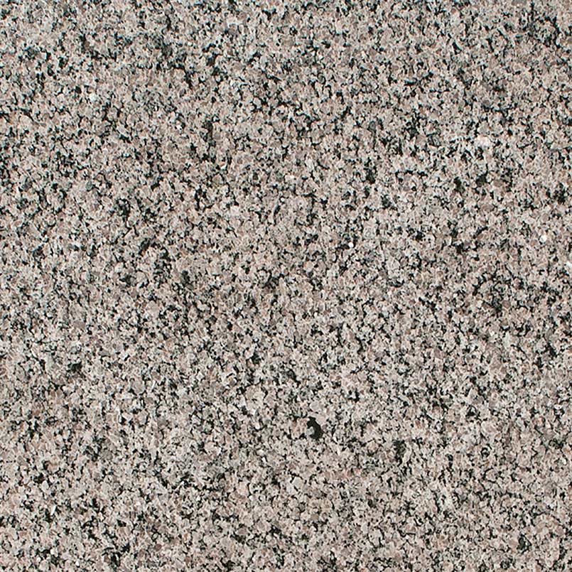 MSI Caledonia - Granite Slab