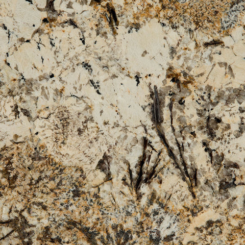 MSI Caravelas Gold - Granite Slab