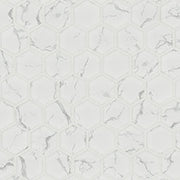 Carrara Matte 2" Hexagon Tile