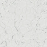 MSI Carrara Matte 2" Hexagon Mosaic Tile