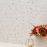 MSI Domino Carrara Matte Penny Round Mosaic — surface detail in natural tonality