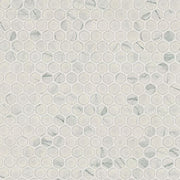 Carrara Matte Penny Round Mosaic