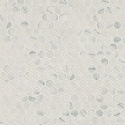 Carrara Matte Penny Round Mosaic