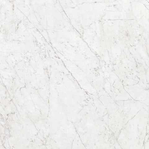 MSI Carrara - Glazed Porcelain Slab