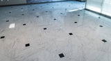 MSI Carrara White - Marble Slab