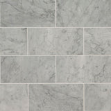 MSI Carrara White Subway Tile 6x12