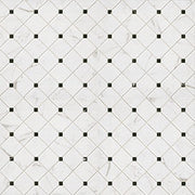 Casa Bianchi 17x17 Matte