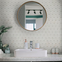 MSI Bianco Dolomite Cecily Grigio Polished — surface detail in natural tonality