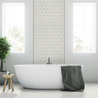 MSI Bianco Dolomite Cecily Grigio Polished — surface detail in natural tonality