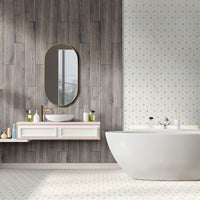MSI Bianco Dolomite Cecily Grigio Polished — surface detail in natural tonality