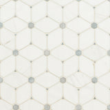 MSI Bianco Dolomite Cecily Grigio Polished