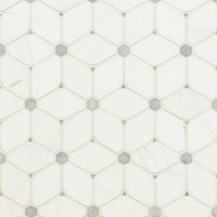 MSI Bianco Dolomite Cecily Grigio Polished — Natural Stone Mosaic