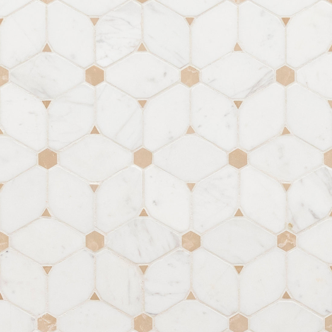 MSI Bianco Dolomite Cecily Pattern Marble Tile