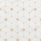 MSI Bianco Dolomite Cecily Pattern Marble Tile