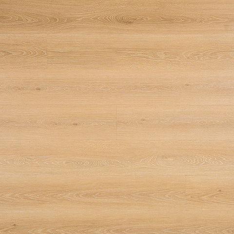 MSI Cyrus 2.0 Valleyview Grove Luxury Vinyl Plank Flooring