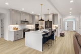 MSI Cyrus Akadia Luxury Vinyl Plank Flooring