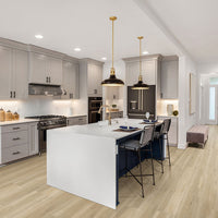 MSI Cyrus Akadia Luxury Vinyl Plank Flooring — surface detail in natural tonality