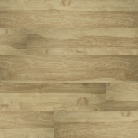 MSI Cyrus Brookline Luxury Vinyl Plank Flooring