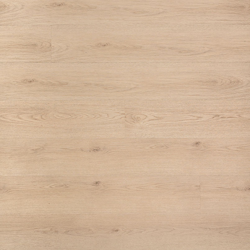 MSI Cyrus Chester Hills Luxury Vinyl Plank Flooring