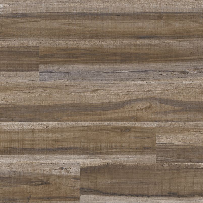 MSI Cyrus Exotika Luxury Vinyl Plank Flooring