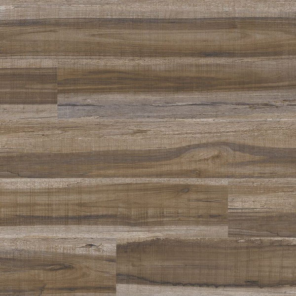 MSI Cyrus Exotika Luxury Vinyl Plank Flooring