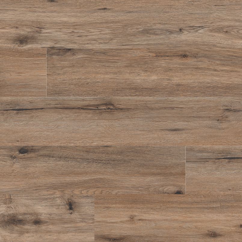 MSI Cyrus Fauna Luxury Vinyl Plank Flooring