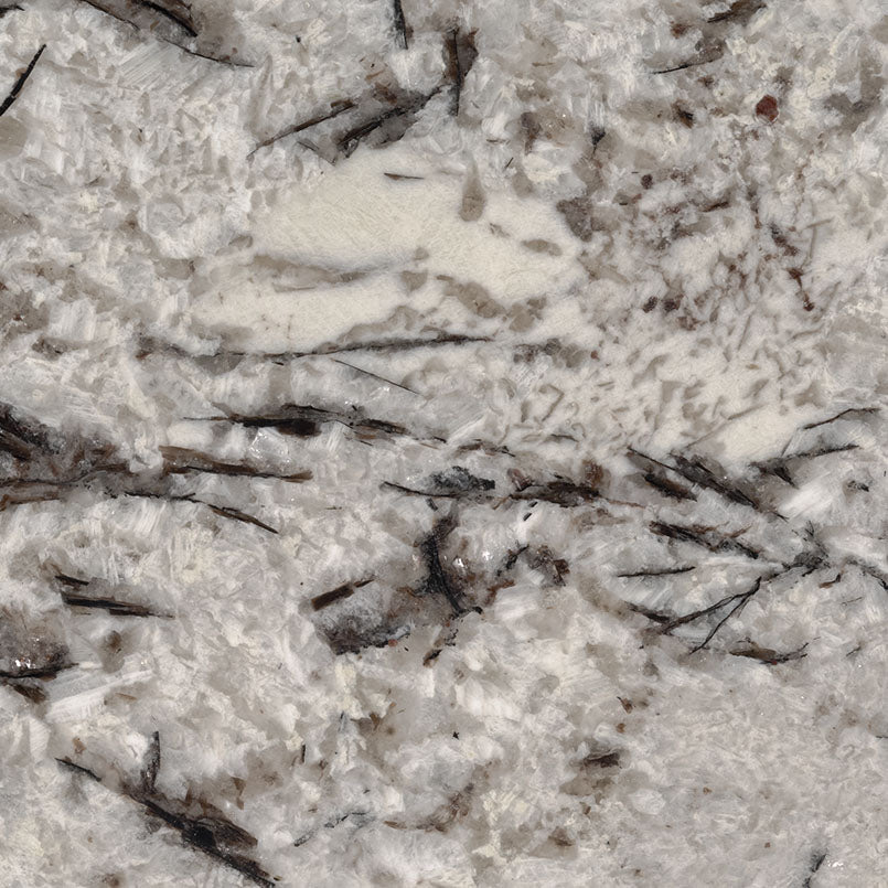 MSI Delicatus White - Granite Slab