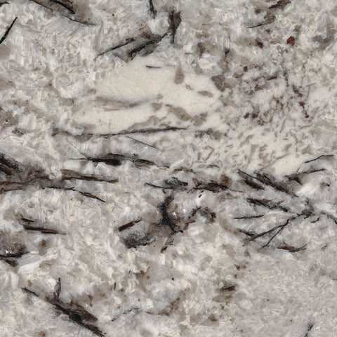 MSI Delicatus White - Granite Slab