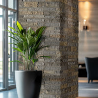 MSI Durham Fall Rockmount Veneers — surface detail in natural tonality