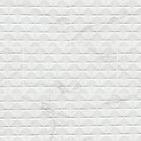 MSI Dymo Calacatta Chex White 12x24