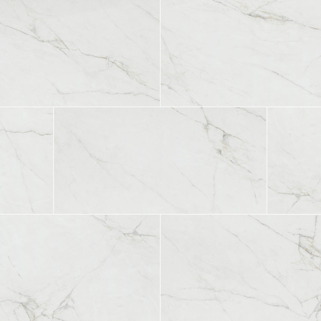 MSI Dymo Calacatta White 12x24