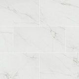 MSI Dymo Calacatta White 12x24