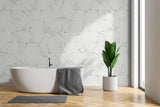 MSI Dymo Statuary 12x24 Tile