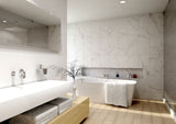 MSI Dymo Statuary Wavy White Tile 12x24
