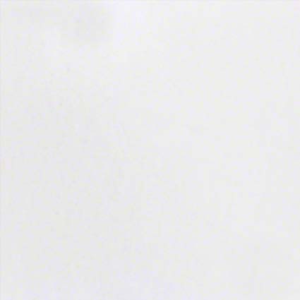 MSI Elegant White - Marble Slab