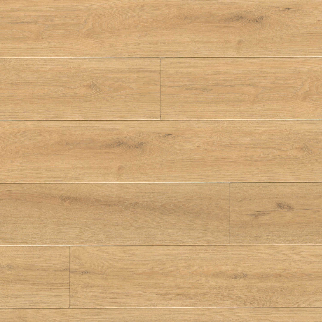 MSI Wayne Parc Reserve Elwood Luxury Vinyl Plank Flooring
