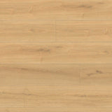 MSI Wayne Parc Elwood Luxury Vinyl Plank Flooring