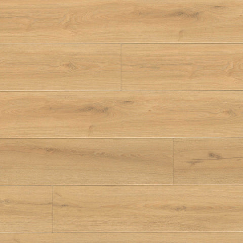 MSI Wayne Parc Elwood Luxury Vinyl Plank Flooring