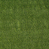 MSI Emerald Precut Turf 81 Turf