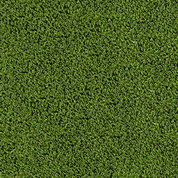 Evergrass Emerald Green Turf 110