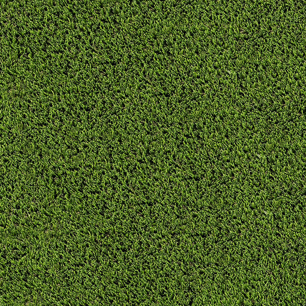 MSI Emerald Green Turf 110 Oz Turf