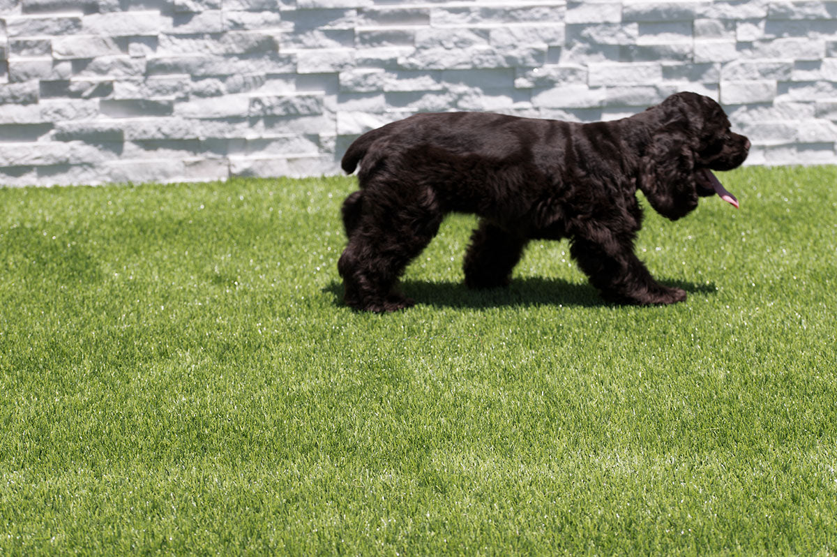 MSI Emerald Green Turf 110 Oz Turf — surface detail in green tonality