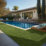 MSI Emerald Precut Turf 81 Turf