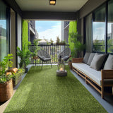 MSI Emerald Precut Turf 81 Turf