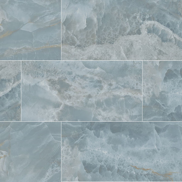 MSI Biotite 24 x 48 Polished