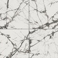 MSI Exotika Lux Iceberg 48x48 Polished, detail