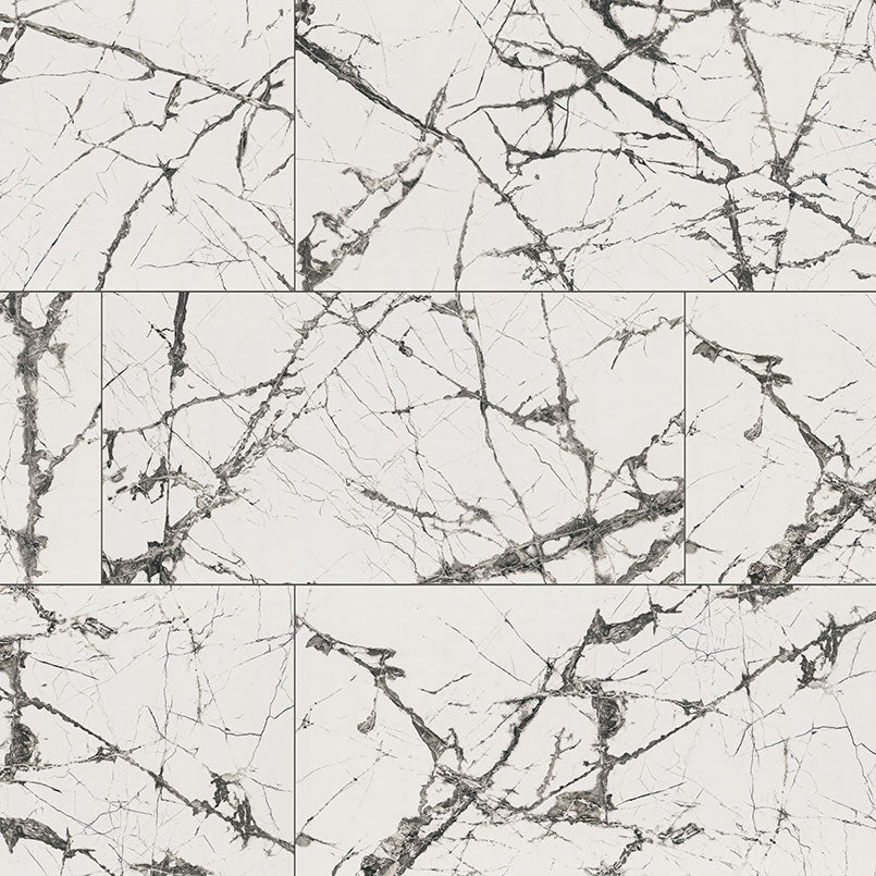 MSI Exotika Lux Iceberg 24x48 Polished